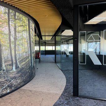 Oficinas - Parque Tecnológico Zamudio
